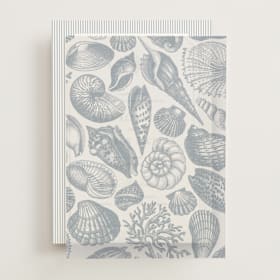 Vellum Overlays