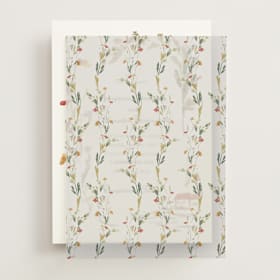 Vellum Overlays