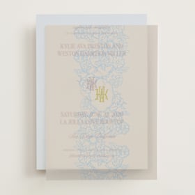 Vellum Overlays