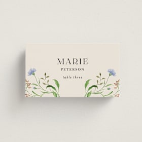 Place Cards