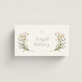Place Cards