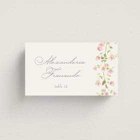 Place Cards