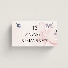 Place Cards
