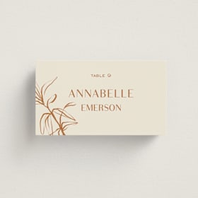 Place Cards