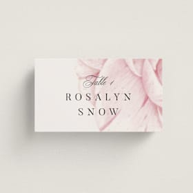 Place Cards
