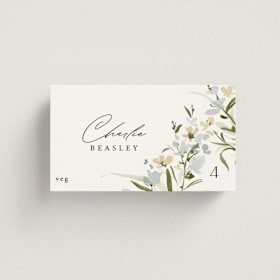 Place Cards - Vegetarian
