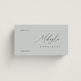 Place Cards - Vegetarian