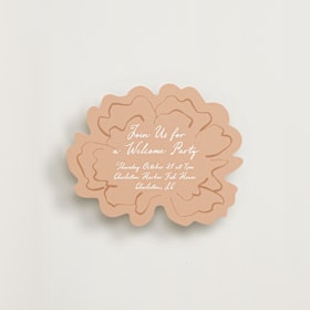 Novelty Enclosure Cards