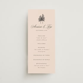 Wedding Program Cards