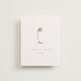 Wedding Thank You Cards