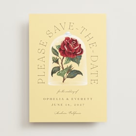 Save The Date Cards