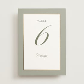 Foil-Pressed Table Numbers
