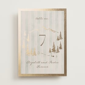 Foil-Pressed Table Numbers