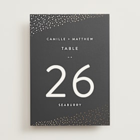 Foil-Pressed Table Numbers
