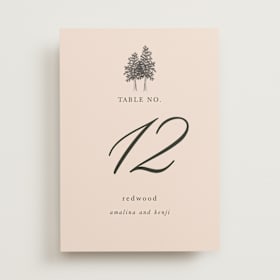Table Numbers