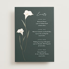 Foil-Pressed Wedding Weekend Itinerary Cards
