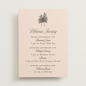 Wedding Weekend Itinerary Cards