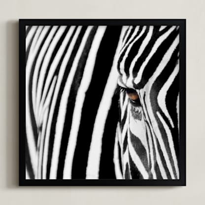 stripes