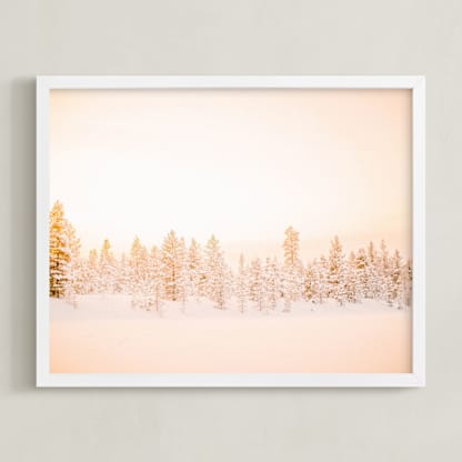 Finnish Forest