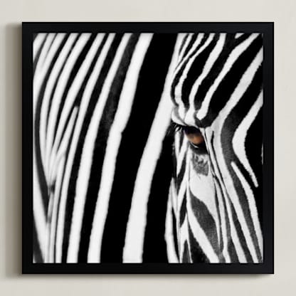 stripes