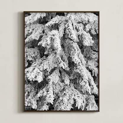 Frost 3