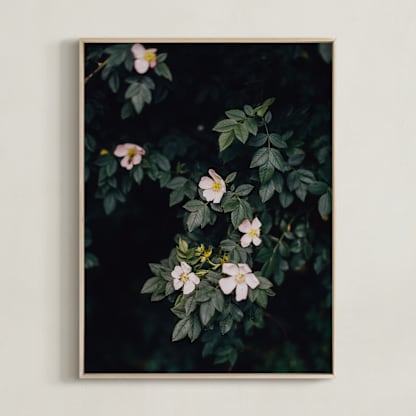 Moody white roses