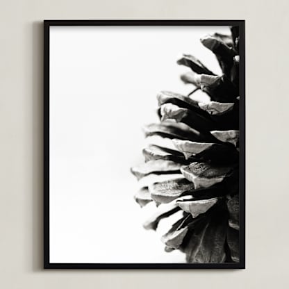 Pine Cone