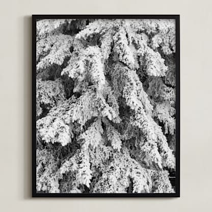 Frost 3