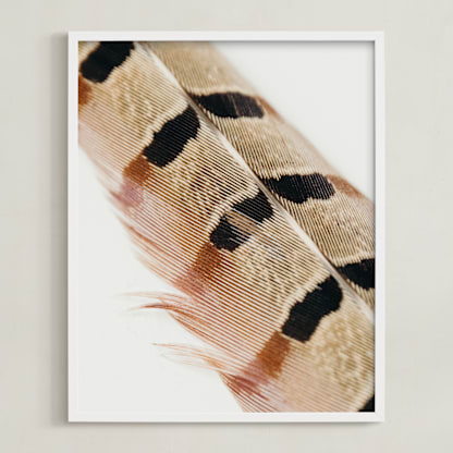 Feather Study I