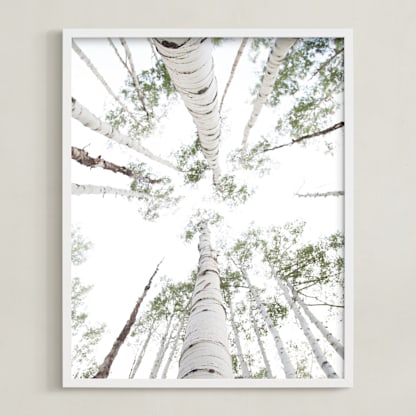 Aspens at Altitude