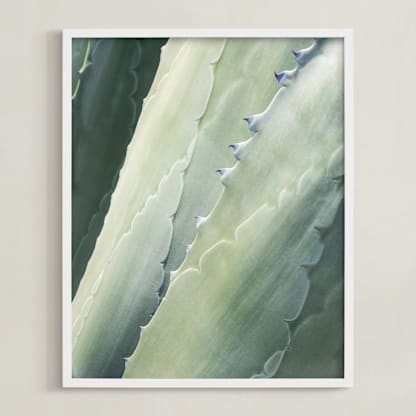 Botanical II
