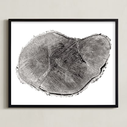 Tree Rings pt. 1