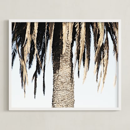 Hanging Palms