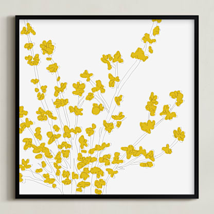 Forsythia