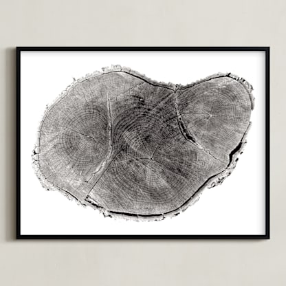 Tree Rings pt. 1