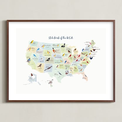 State Birds of the USA