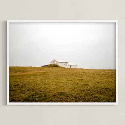 Shelter