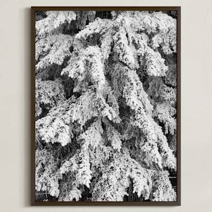 Frost 3