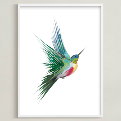 hummingbird