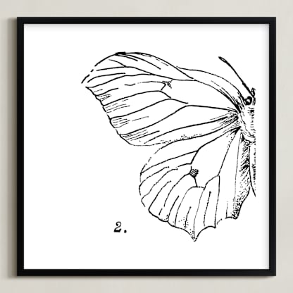 Moth No. 2