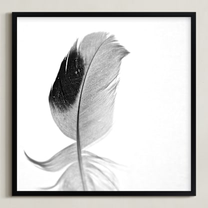 Ruffled Feather