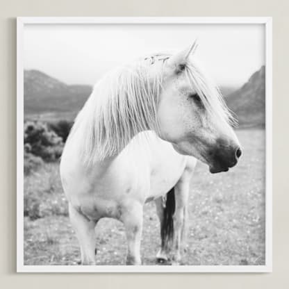 Field Horse