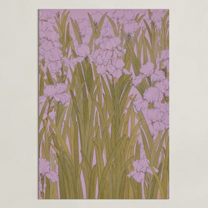 Iris Garden