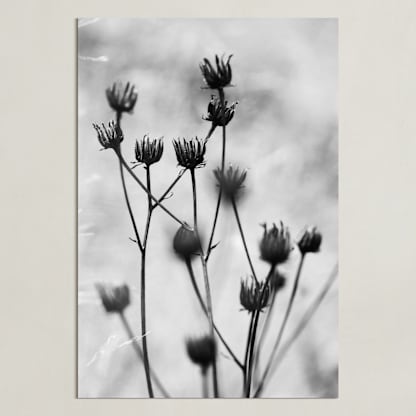 Autumn detail