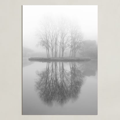 Real Reflections