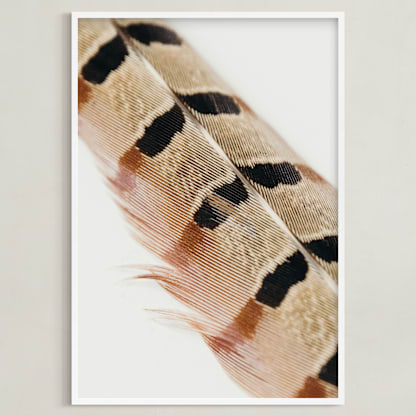 Feather Study I