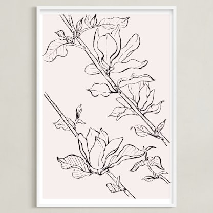 magnolia study