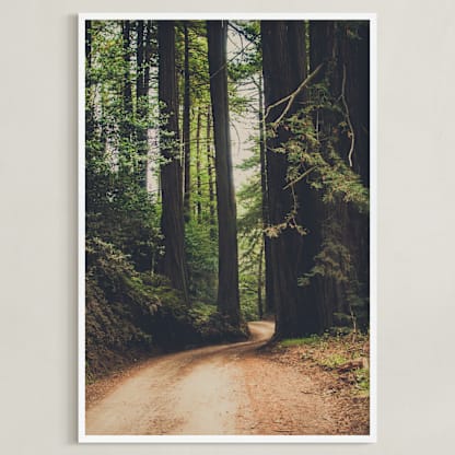 Walk Into the Woods