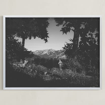 Forgotten garden