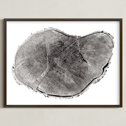 Tree Rings pt. 1
